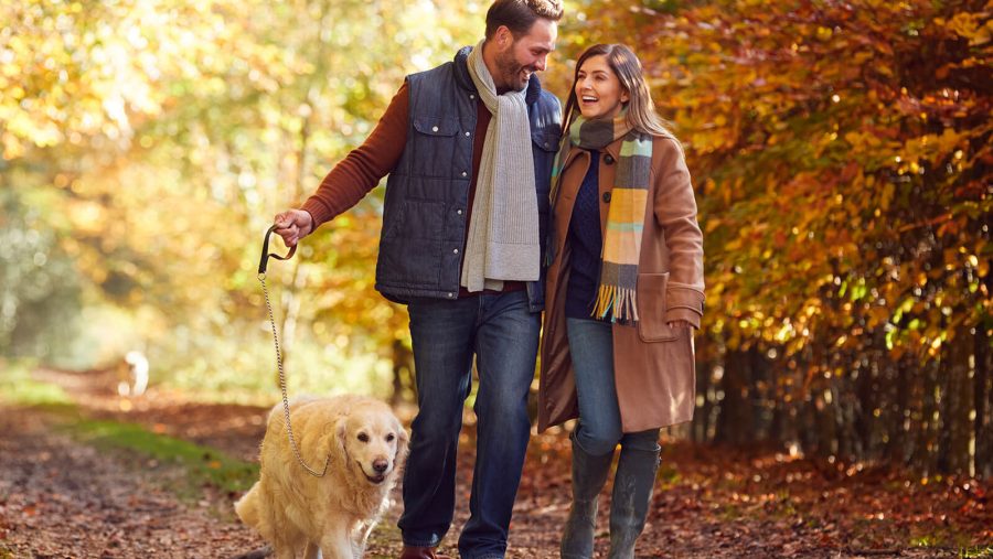 A couple walking their dog