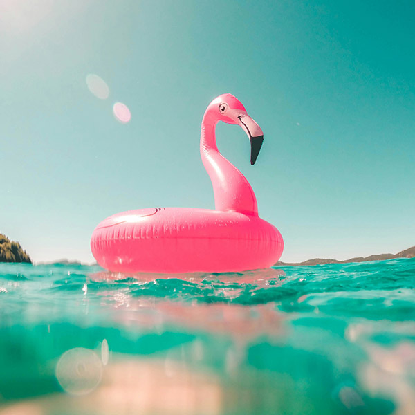 Pink inflatable flamingo